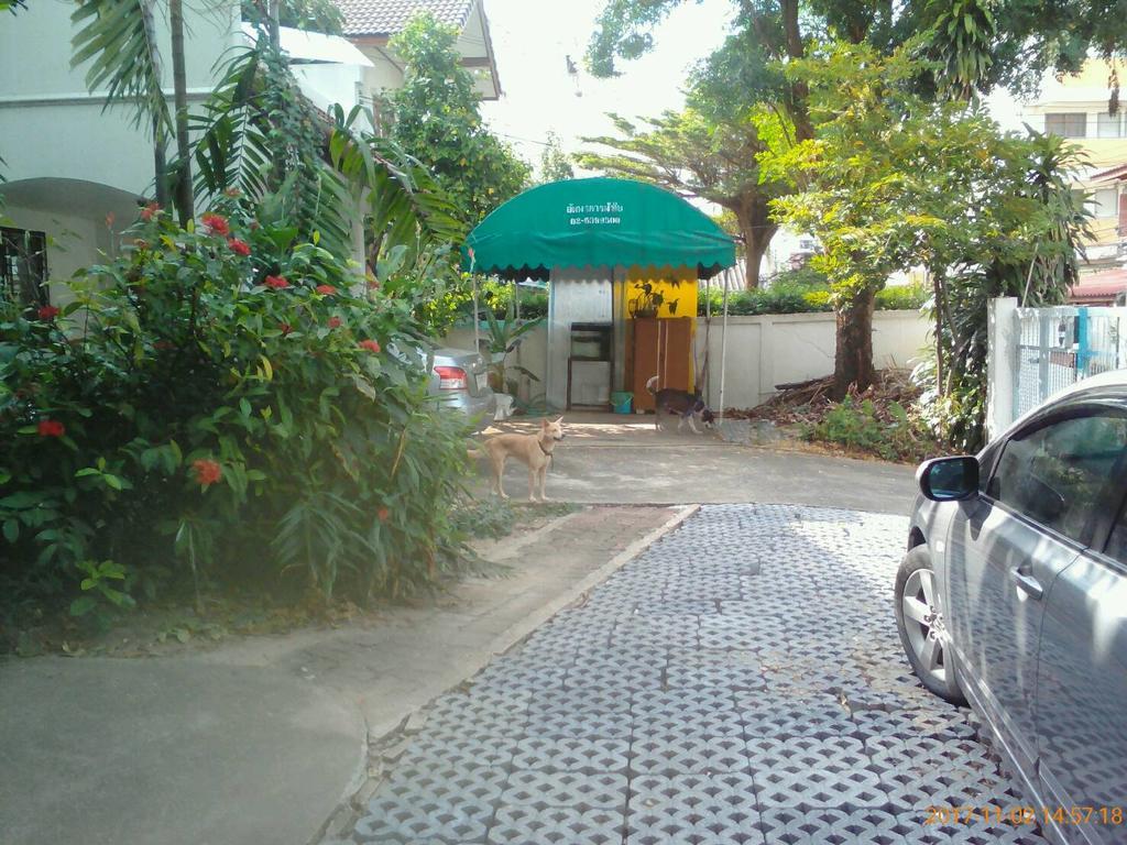 गेस्ट हाउस Young And Beautiful Bangkok